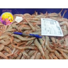 Gamba de Huelva especial para cocer