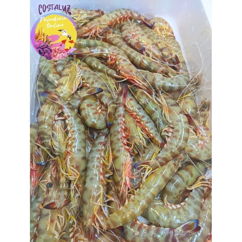 Langostino de Sanlucar Extra