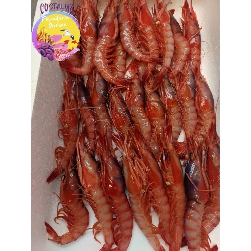 Gamba roja fresca extra