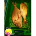 Pargo de Huelva 1 kg