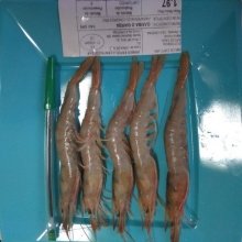 Gamba de Huelva extra