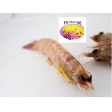 Langostino de Sanlucar para cocer