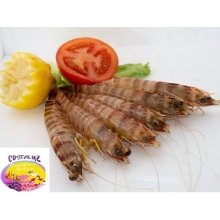 Langostino fresco plancha o coccion