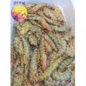 Langostino de Sanlucar Extra
