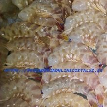 Langostino roto (Medianos)
