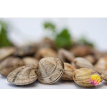 Chirlas vivas de Huelva (Grandes)