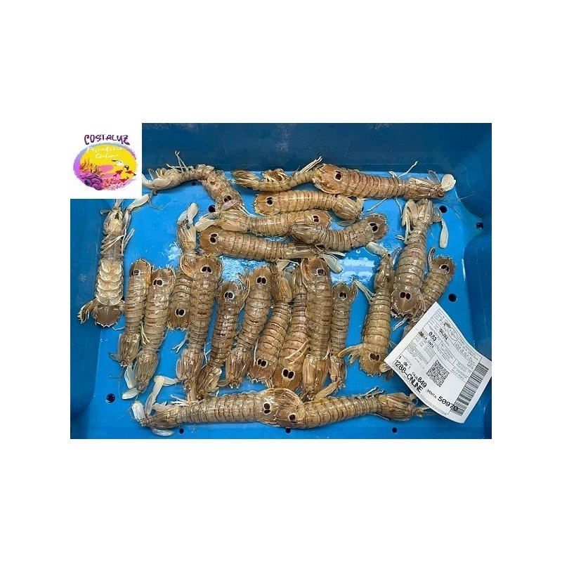Galeras frescas de carne