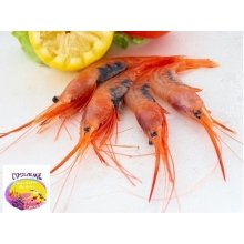 Quisquilla de Huelva fresca