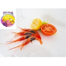 Quisquilla de Huelva fresca