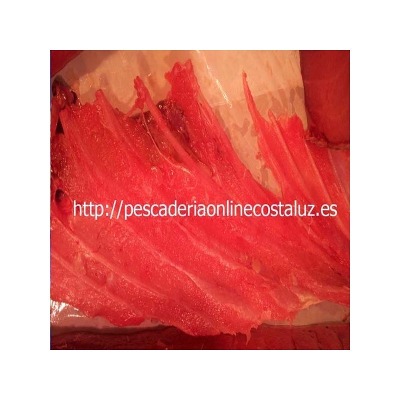 Espineta de atun Yellowfin