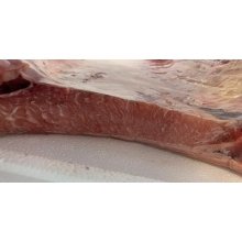 Ventresca de atun fresco a domicilio