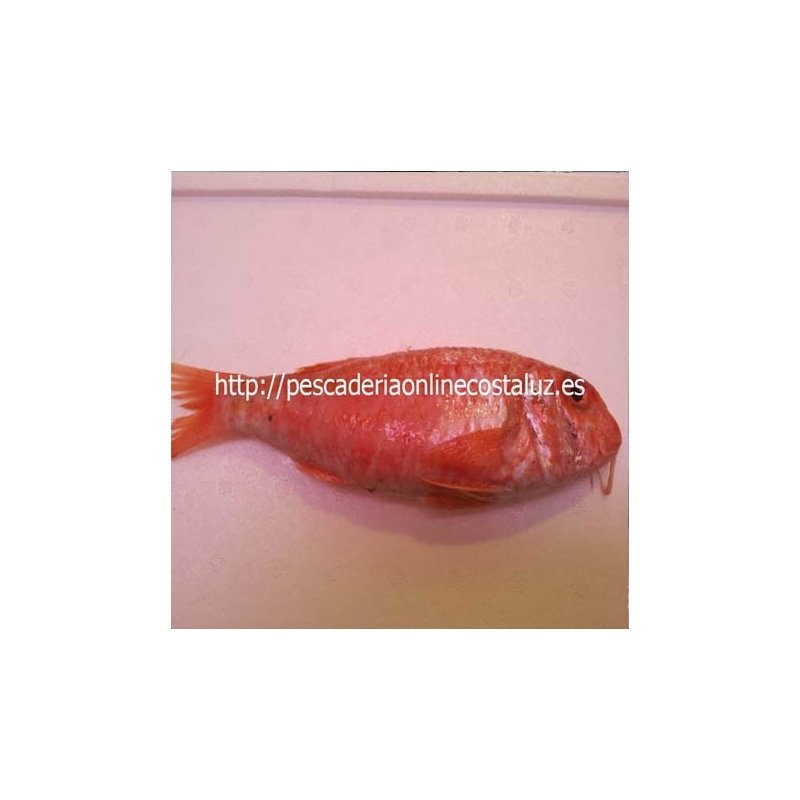Salmonetes Pequeños