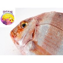 Urtas para Horno
