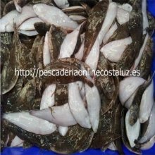 Acedias de trasmallo frescas