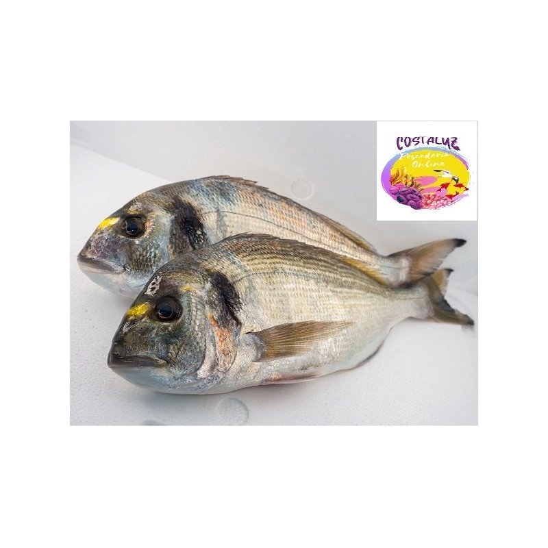 Doradas salvajes (800gr pieza)