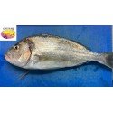 Doradas salvajes Para Horno