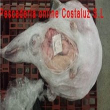 Rape de Huelva grande 3 a 5 kg