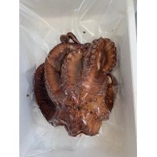 Pulpo cocido a domicilio (Extra tierno)
