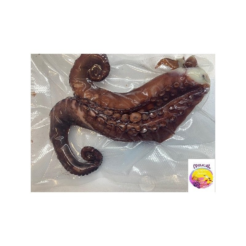 Rejo de pulpo cocido pequeño
