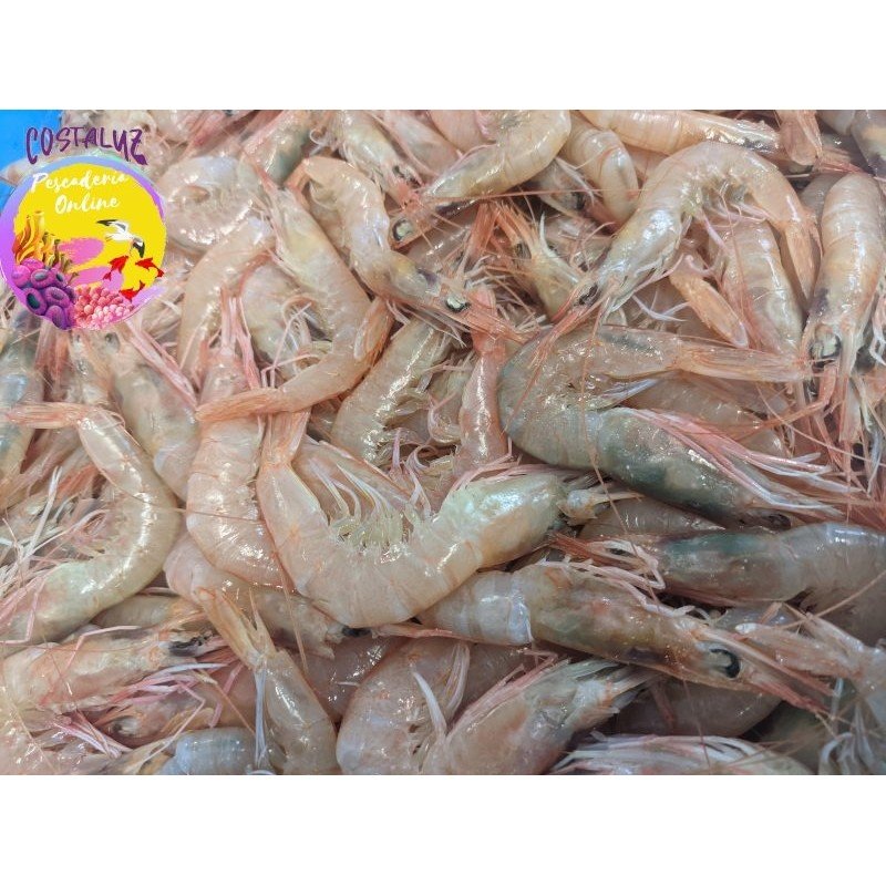GAMBA DE HUELVA ROTAS