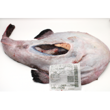 Rape mediano 2 a 3 kg