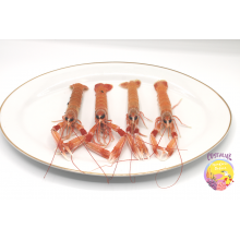 Cigalas de Huelva pequeñas