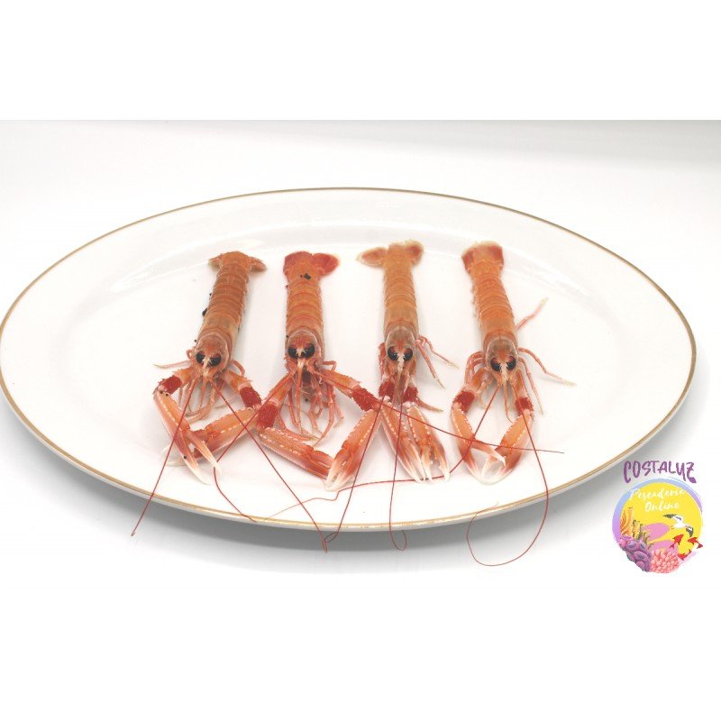 Cigalas de Huelva pequeñas