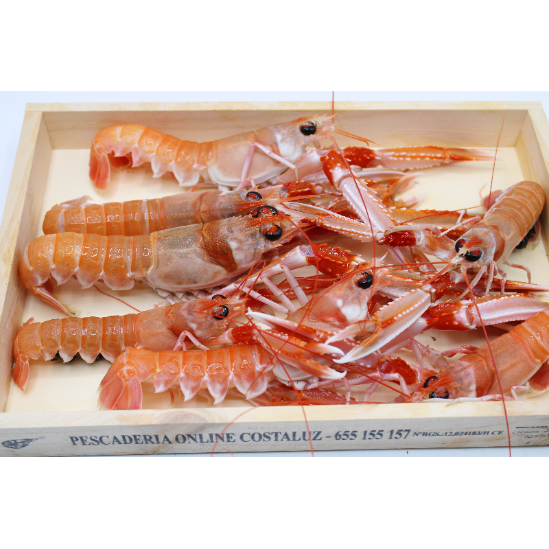 Cigalas de Huelva medianas