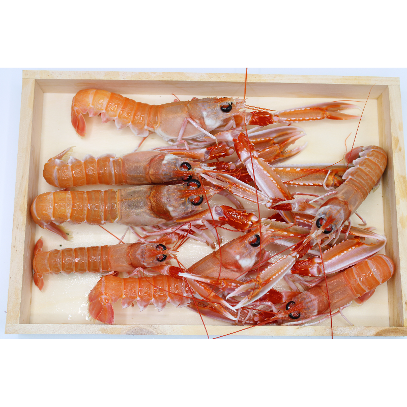 Cigalas frescas grandes para plancha