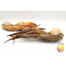 Comprar cuerpos de cangrejo con bocas