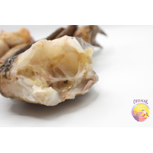 Cuerpos de cangrejo con bocas XL