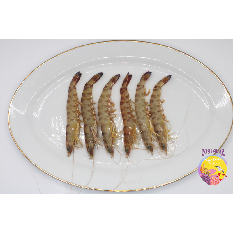 Langostino de Sanlúcar para cocer