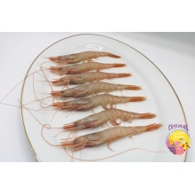 ¿Dónde comprar gambas?