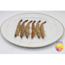 Comprar langostino cocido