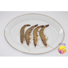 Comprar langostino a domicilio