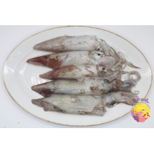 Comprar chipirón fresco