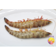 Comprar langostino fresco