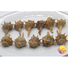 Comprar Cañaillas cocidas de Huelva