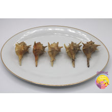 Cañailla a domicilio