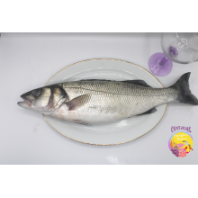 Lubinas salvaje para horno