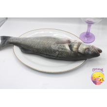 Lubinas salvaje para horno